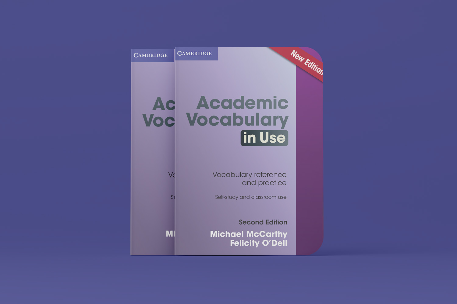 Academic Vocabulary in Use 2nd Edition