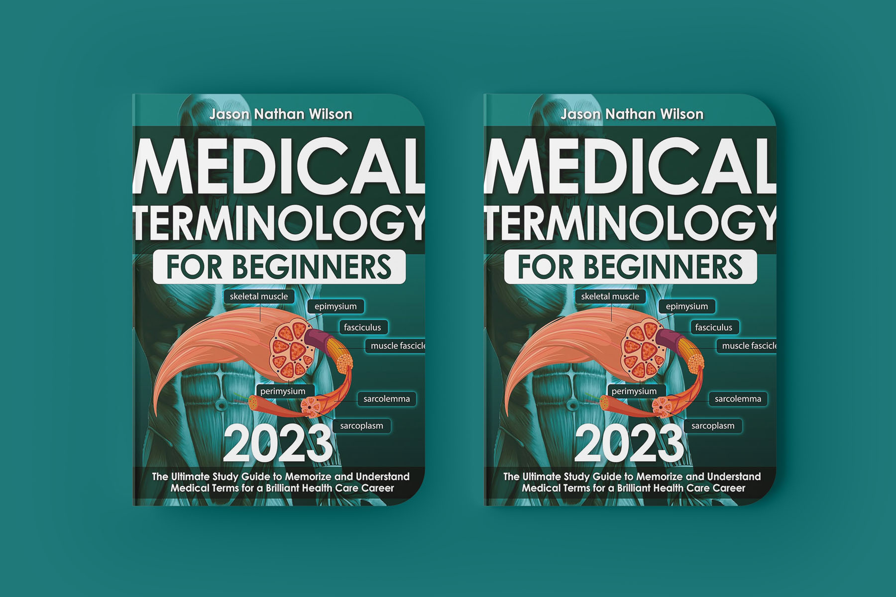 Medical Terminology for Beginners 2023